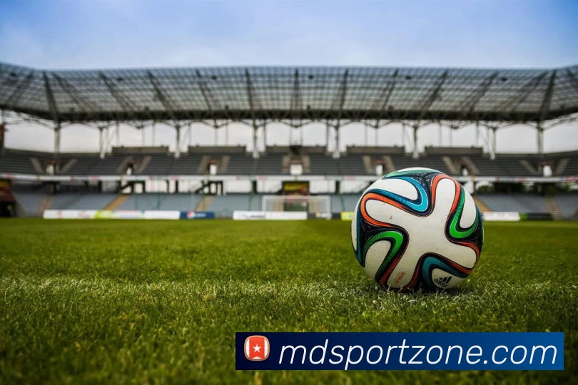 摩登体育官网平台生态图