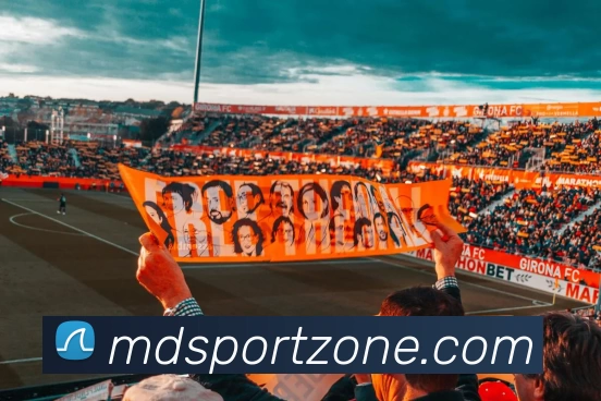 摩登体育官网APP 封面图